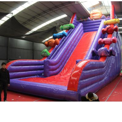 China PVC Accessory Packing Bag Included Design Giant Dry Inflatable Bouncer Slide For Kids for sale