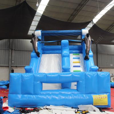 China Unisex Inflatable Dry Slide Customized Size Inflatable Castle Slides for Water Play for sale