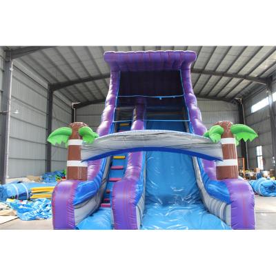 China 14 Years up Inflatable Pool with Slide and Commercial Water Slide Repair Kit Included for sale