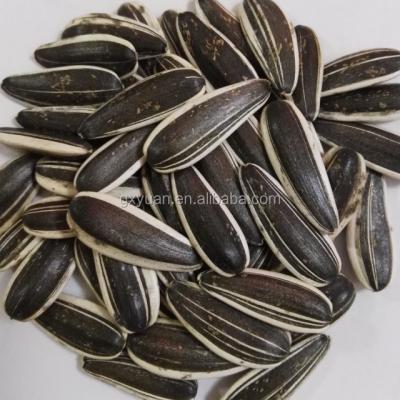 China Dried black sunflower seeds for sale