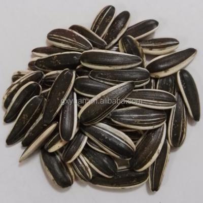 China Dried sunflower seeds 601 for sale