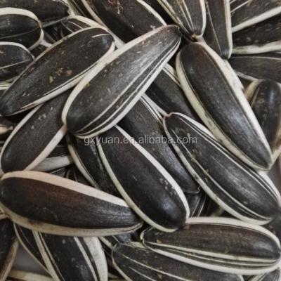 China Chinese dry sunflower seeds 601 for sale