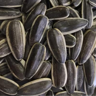 China RAW Sunflower Seeds 361 for sale