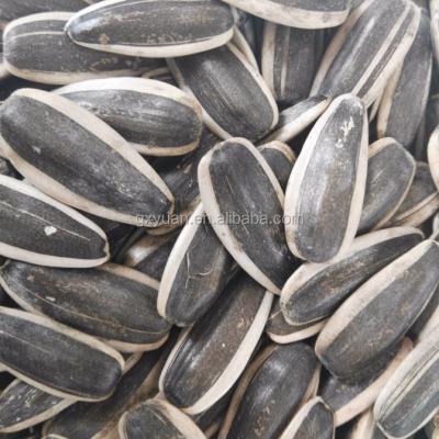 China RAW sunflower seeds for sale