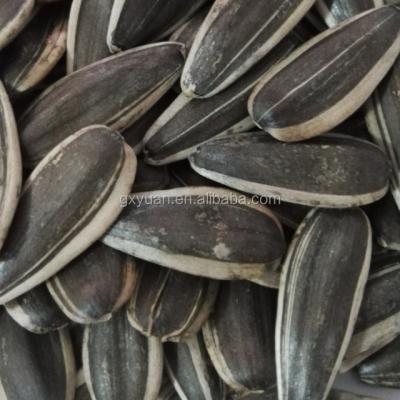 China RAW Sunflower Seeds Large Size for sale