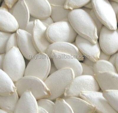 China Best White Pumpkin Seeds for sale