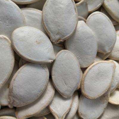 China Snow Dried White Pumpkin Seeds for sale