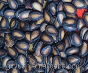 China OBLONG Roasted Watermelon Seeds For Bulk Sale for sale