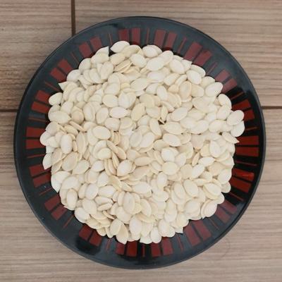 China 2018 Factory Price Dry High Quality Watermelon Seed Kernels for sale