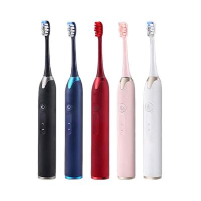 China Electric Toothbrush Battery Operated Head Kang Yu Variable Brush Head hx9004-p For Oral Sonic Electric Toothbrush for sale