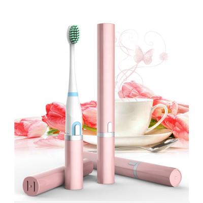 China Kang Yu Teeth Battery Operated Whitening Home Appliance Sonic Electric Toothbrush High Quality IPX6 Waterproof Toothbrush for sale