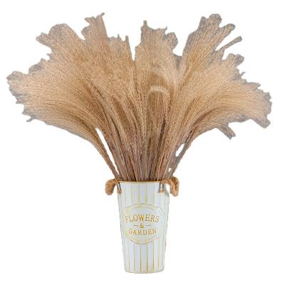 China Wholesale Boho Flower Bouquet Natural Dry Flower Reed Decorative Flowers and Natural Large Fluffy Dry Pampas Grass Decorative Pampas Grass for sale