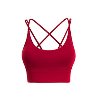 China Breathable Hot Seamless Sports Bra Top Selling Amazon Fitness for sale