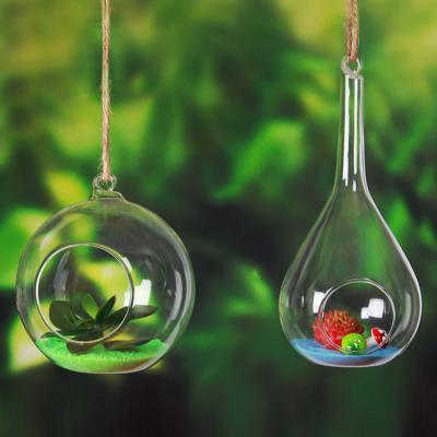 China Europe Borosilicate Glass Mini Greenhouse Wholesale Cheap Hanging Glass Vase for Plants and Decoration Accessories for sale