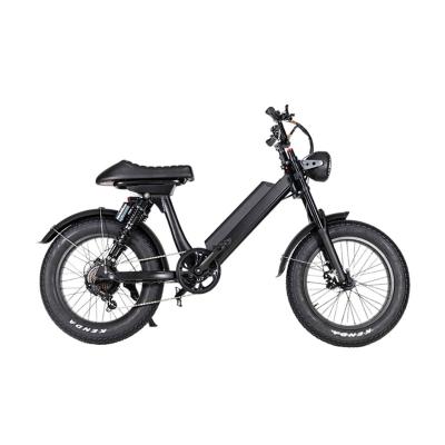 China Aluminum Alloy Variable Fat Tire Speed ​​Electric Bicycle 48V 500W Electric Sports Bike 20 Inch Israel Electric Bike for sale