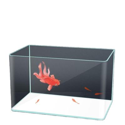 China Small Viable Mini Fish Tank Large Custom Acrylic Aquarium Fish Tank for sale