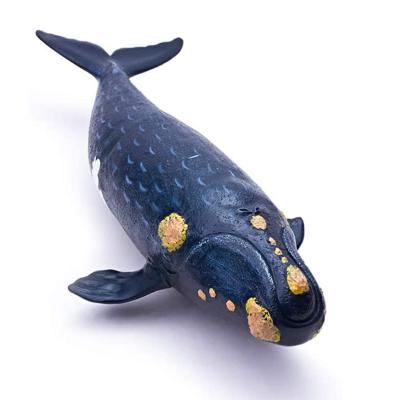 China Realistic Hand Painted Toy Figurine Model Ocean Life Eubalaena Japan Quince Realistic North Pacific Figure PVC Soft Vinyl ROTO- Toys 1:55 for sale