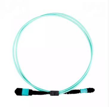 China OM4 MM  LSZH optic fiber suppliers MPO to MPO trunk cable Fiber optic patch cord  12 core MPO patch cord for sale