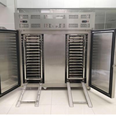 China High efficiency easy operate food sanitation regulations recuding the food temperature industry blast cooling chillers quickly for sale