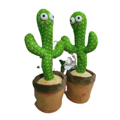 China Funny 120 Cactus 32cm Funny Cactus Dancing Cactus Dancing Cactus Dance English Songs Talking And Dancing Transceiver for sale