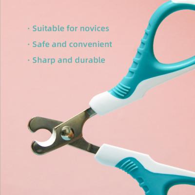 China Sustainable Pet Nail Scissors Straight Nudge Cat Pet Products Stainless Steel Dog Nail Scissors Dog Pet Cleaning and Grooming Products All-Season for sale