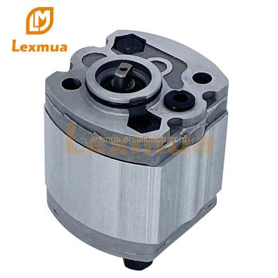 China Forklift Truck\Dump Truck\Lexmua Hydraulic Servo System Replace Cbk Cbk F2F CbkF 12F Series Gear Hydraulic Oil Pump for sale