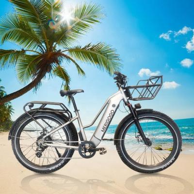 China Multifunctional PRE ORDER New style e dirt bike adult electric bicycle 750w sport electric bike fat tire for sale