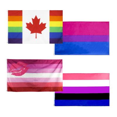 China Health Care Institute 3x5Ft Demisexual Lesbian Bisexual Pansexual Asexual Rainbow Gay Flag LGBTQIA LGBT Genderqueer Pride Banner Bear American Canadian for sale