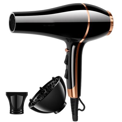 China Baria Color 2000w 2 Speeds Black Gold Designed Hair Dryer Adjustable Heat Settings New for sale