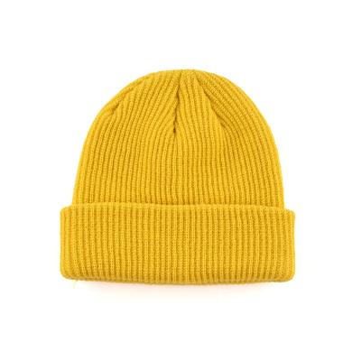 China Custom Embroidery Logo COMMON Fashion Warm Winter Hat Wholesale Customized 100% Unisex Acrylic Knitted Beanie Hat For Women for sale