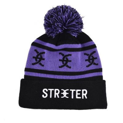 China 2021 New Arrival Winter COMMON Warm Bobble Knitted Beanie Hat Jacquard Embroidered Embroidered Knit Hats for sale