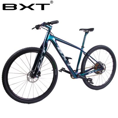 China 2019 New BXT 29er Carbon Complete Bicycle 29inch MTB 142*12/148*12mm 1*12Speed ​​Fiber Carbon Mountain Bike for sale