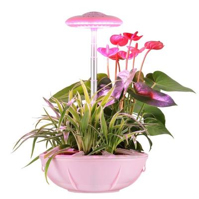 China Seed Starting Hydrophonic System Indoor Growing Mini Smart Garden for sale