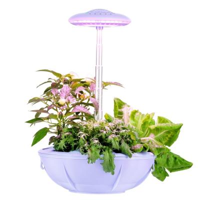 China Seed Starting Indoor Growing Mini Garden Greenhouse Hydrophonic System Smart Mini Garden for sale