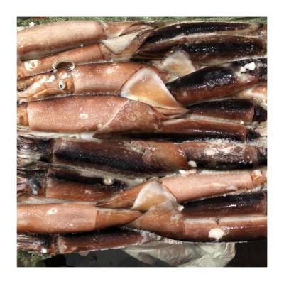 China Gluten-free frozen squid Todarodes Pacificus, Japanese jigs for sale