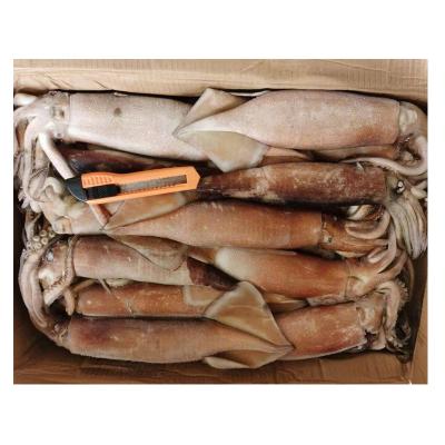 China NATURE 300-400g Jigger Catching Japanese Flying Squid Bait for sale