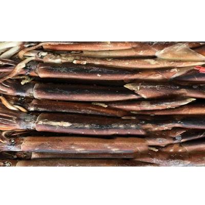 China Nutritious Frozen Squid Fishing Jig Lure West Ghana Squid Afirca for sale