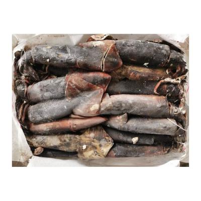 China Cheap squid hot sale nutritious wholesale frozen fresh fish giant squid seafood price squid for sale