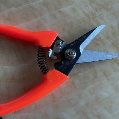 China Agriculture Premium Bypass Pruner Garden Tool Pruning Shear 200mm For Cutting Branch for sale