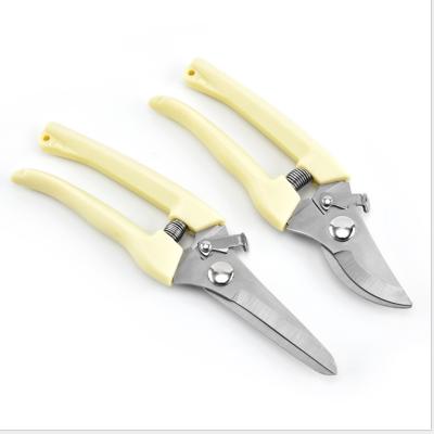 China White Color Handle 8'' Straight/Curved Blade Gardening Shear For Flowers And Vegetables for sale