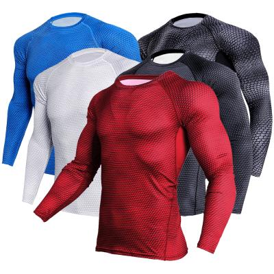 China Running Tight Compression Blouse Equipment Long Sleeve Breathable Quick Dry Sportswear Gym And Pants Men's Fitness Sportswear for sale