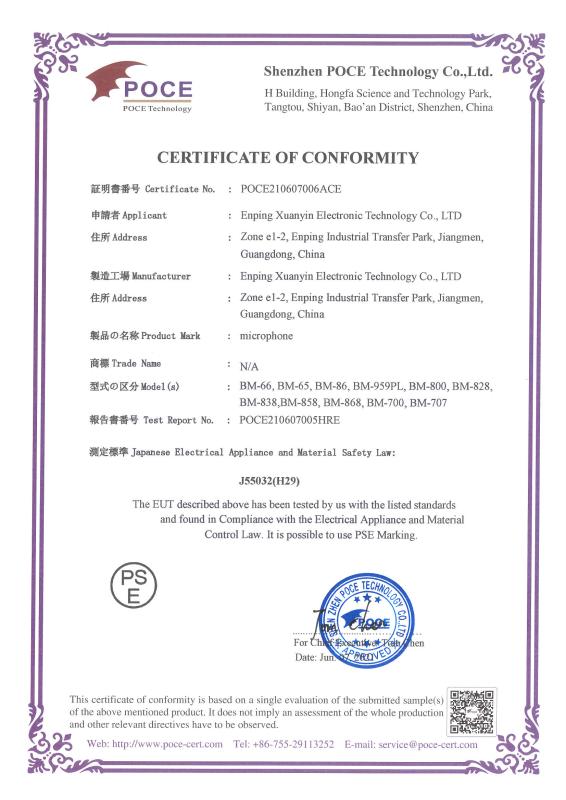 PSE - Enping Xuanyin Electronic Technology Co., Ltd.