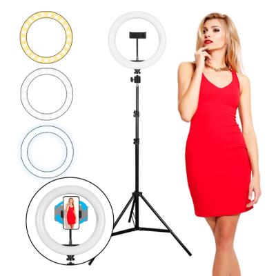 China Adjustable Makeup 26CM-1 Height Easily Handle Live Broadcast On Multiple Platforms Webcam With Tripod Floor Ring Light LED for sale