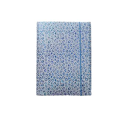 China PP Glitter Clear PP Book Folder Document Portfolio Ring Binder 3 Expanding Flap Folder for sale