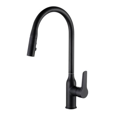 China Pull Out Spray 2021 Luxury Brass Pull Down Sink Mixer Tap Matte Black Kitchen Faucet With Pull Out Sprayer for sale