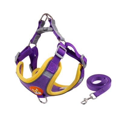 China Lights Nylon Leash Breathable Harness Set Custom Purple Durable Harness For Pet Teddy for sale