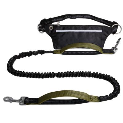 China Running Stocked Pull Rope With Free Size Leash Cat Jogging Walking Training Hand Dog Leash for sale