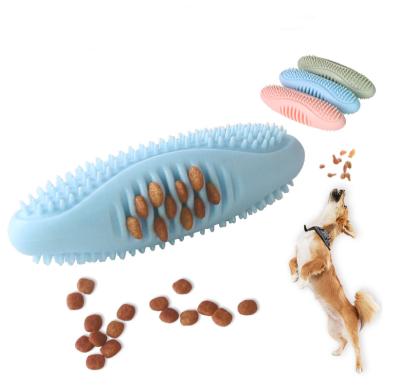 China Cucumber Viable Molar Molar Viable Sea Supplies Amazon Pet Toy Dog Toothbrush Interactive Rubber Clean Teeth for sale