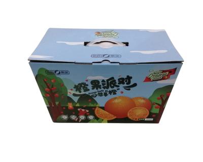 China Recyclable Wholesale Fruit Packaging Color Boxes Corrugated Gift Fruit Boxes for sale