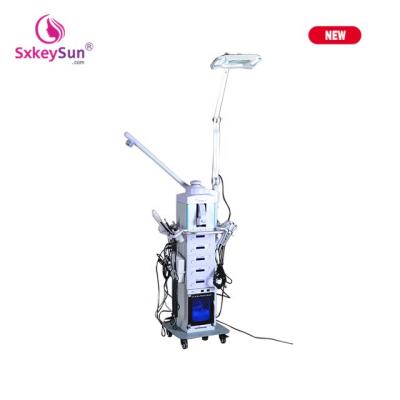 China Black Remover Main Sales CE Approved Best Quality Multifunctional 19 in 1 Facial Machine for sale